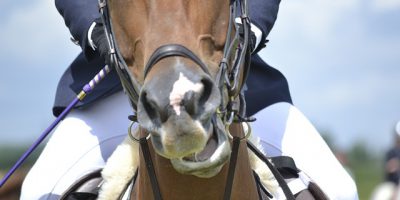 Riesenbeck International: Springreiten